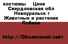 костюмы  › Цена ­ 1 000 - Свердловская обл., Новоуральск г. Животные и растения » Собаки   